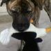 Isabel Mullen - Facebook