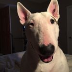 Isabel Mullens - @mullensisabel - Instagram