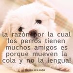 Isabel Muriel - @luzmaryo0208 - Instagram