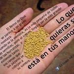 Isabel Murrieta - @murrieta.isabel - Instagram