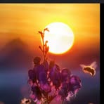 Isabel Narvaez - Facebook