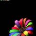 Isabel Navas - Facebook