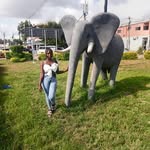 Isabel Nelson Chambe - @isabelnelsonchambe - Instagram