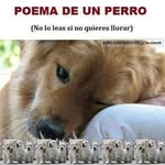María Isabel Newman Puga - @newmanpuga - Instagram