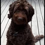 Isabel Northforest - @isabel.northforest - Instagram