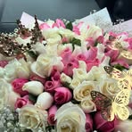 Isabella North - Facebook