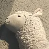Isabellodonnell - @isabell.odo13 - TikTok
