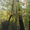 Isabel Oliver - @isabel.oliver59 - TikTok