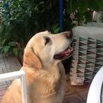 Isabel Oliver - @isabel.oliver.50 - Instagram