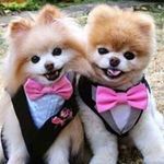 Isabel Pablo - @isabelpablo1961 - Instagram