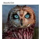 Isabel Pace - @isabelpace - Instagram