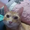 Isabel Conde Pacotaype - @isabel.conde.paco - TikTok