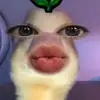 isabel_paris💯💫 - @isabel_paris45 - TikTok