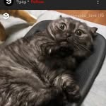 Isabel parsons - @izzy_imtrash - Instagram