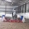 isabelle_parsons - @isabelle_parsons - TikTok
