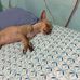 Isabel Pazos - Facebook