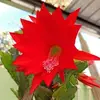 Isabel Pazos - @isabel.pazos7 - TikTok