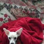 Isabel Peach - Facebook
