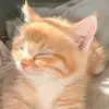 Isabel Pedraza - @isabel.pedraza81 - TikTok