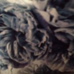 isabella pennington - @bellapennington - Instagram