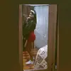 ISABEL PEREZ - @isaperez507 - TikTok