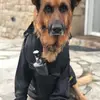 isabel pernas basanta - @xenxela - TikTok