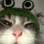 Marisa _17 - @isabelpiper17 - Instagram