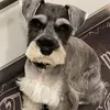 Isabel pirela - @isabelcpirela - TikTok