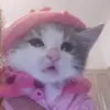 isabelpires979 - @isabelpires979 - TikTok