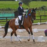 Isabel Clara Platts - @isabelplatts.dressage - Instagram