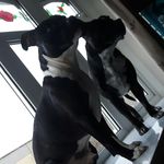 Isabel platt - @little_miss_perfect_128 - Instagram