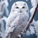 Isabel Popoca - Facebook