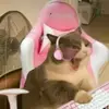 isabelle - @isabelle_posey - TikTok