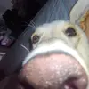 Isabel Posso - @isabel.posso0 - TikTok