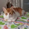 Isabel posso 😊 - @isabel_posso - TikTok
