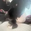 Isabella - @isabellapotts - TikTok