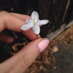 Isabel powers - @gurlickbai - Instagram