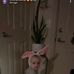 Isabel Powers - Facebook