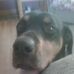 Isabel Powers - Facebook
