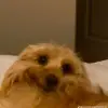ISABEL - @isabel_quick - TikTok