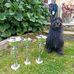 Isabelle Rapp - Facebook