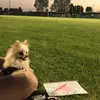 Isabel Raya200i - @isabelraya2001 - TikTok