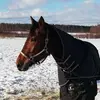 Isabel - @isabelriley - TikTok