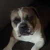 Isabel Riley622 - @isabelriley622 - TikTok