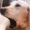Isabelrob - @isabelrobbb - TikTok