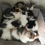 Isabel Rommel - @meine_tierfreunde_und_ich._ - Instagram