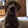 Isabel_romo - @isabel_romo - TikTok