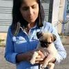 Isabel Roque - @isabelrooque - TikTok