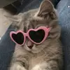 isabel stein - @isabel_stein - TikTok