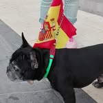 Isabel Roy - @isabel.roy.56829 - Instagram